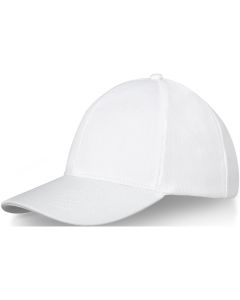 Drake 6 panel trucker-cap