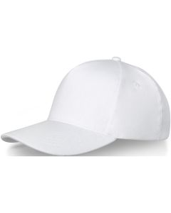 Doyle 5 panel cap