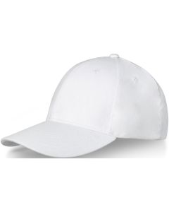 Davis 6 panel cap