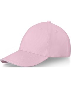 Darton 6 panel sandwich cap